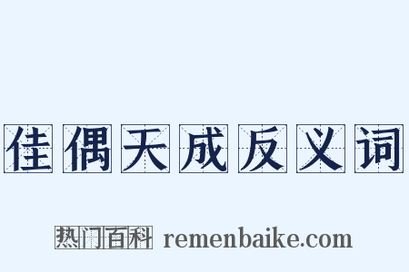 佳偶天成反义词是什么意思的图片